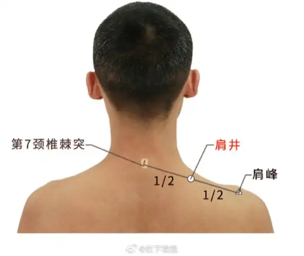 【可以涤荡气血也可以推送气血的大穴】