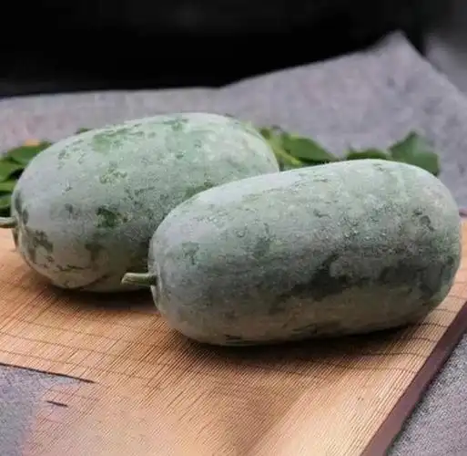 米冬瓜和冬瓜的区别有哪些