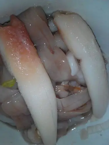 鱿鱼肚子里面的两个棒棒 怎么吃?