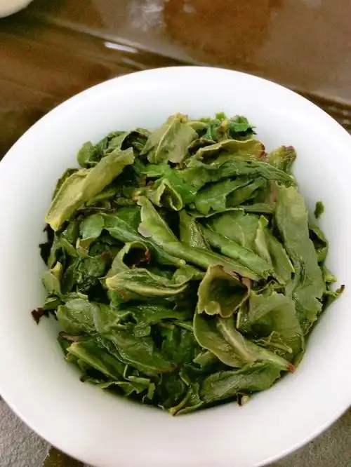 安溪铁观音   绿叶镶红边