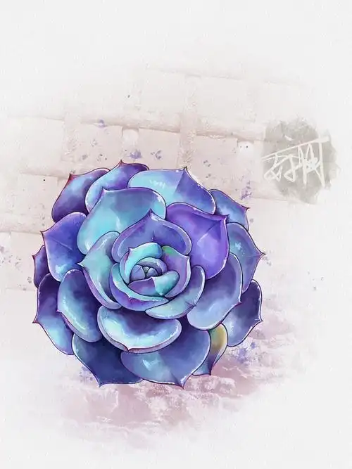 板绘练习多肉植物|插画|创作习作|derder男孩 - 临摹作品 - 站酷