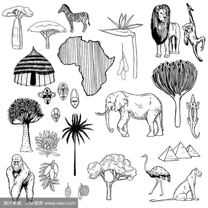 绘画插图,非洲,矢量,草图,可爱的