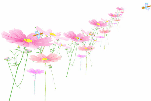 600_400gif 动态图 动图