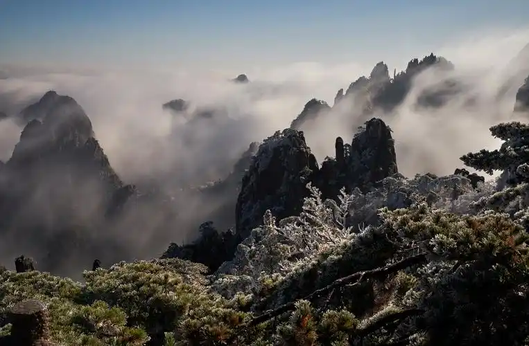 安徽黄山:寒潮来袭 现大面积绝美雾凇景观