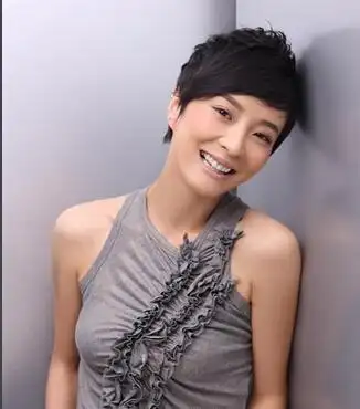 罗嘉良未婚妻苏岩个人资料和家庭背景苏岩前夫是谁