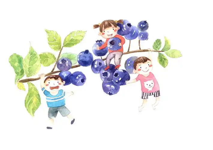 蓝莓- xiaowoniu - 原创作品 - 视觉中国(shijueme)