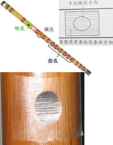 笛膜要贴在哪.孔是** *** *** * *
