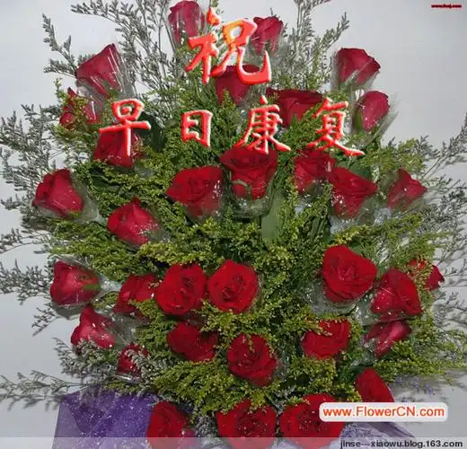 "慰问                                                 信"三个字