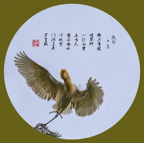 《绝句两个黄鹂鸣翠柳》唐  杜甫 两个黄鹂鸣翠柳,一行白鹭上青天.