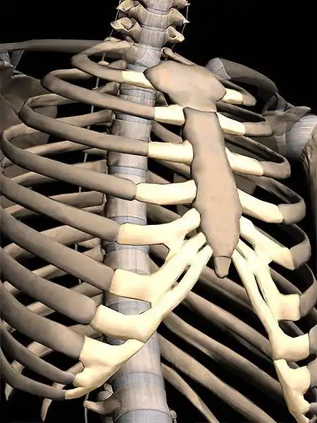 胸骨剑突增加如何呢