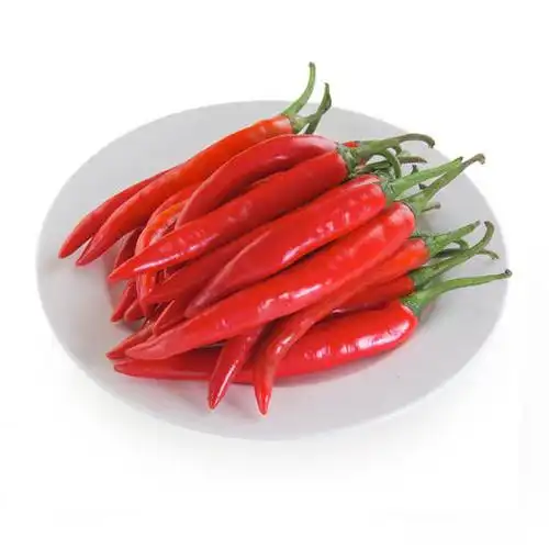 红美人椒55元斤