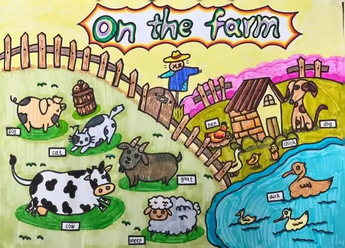 本次英语手抄报分为三个主题,一年级的孩子们以农场动物为主题,绘出了