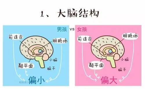 男孩女孩的这10点不同,在胎儿期就已经决定了