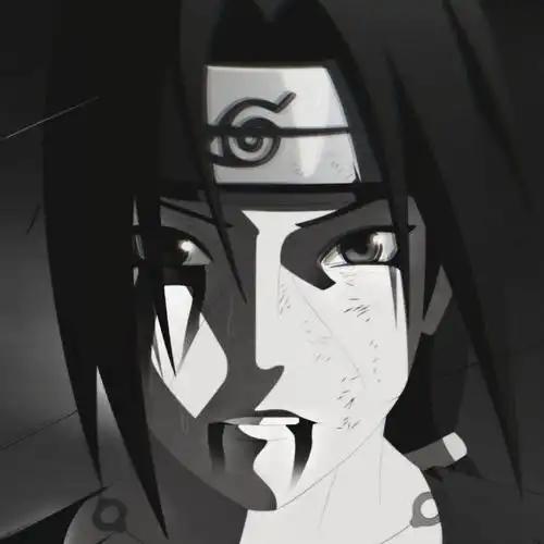 鼬 图源网易云,自调色