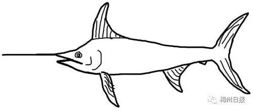 "剑鱼"突然生成!今天早上等等,还有一个台风呢?