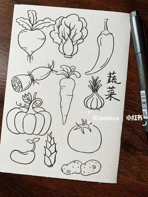 昆虫青蛙猪猪蔬菜手绘简笔画线稿素菜