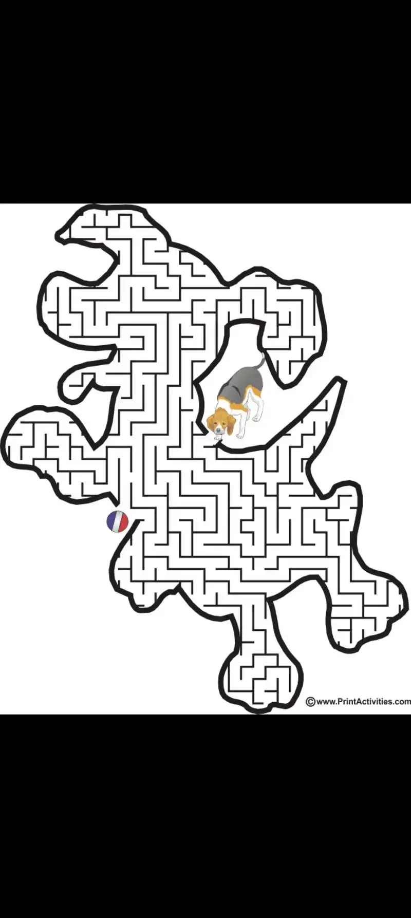 益智区域游戏:动物迷宫.有电子稿素材,可直接 - 抖音