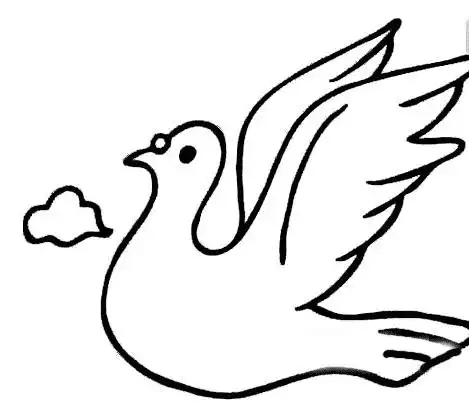鸽子简笔画绘画图片鸽子简笔画彩色的图片