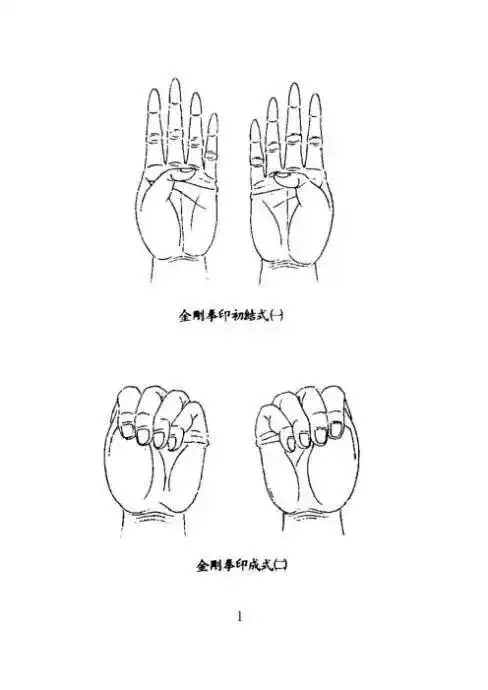 金刚拳印(握固)能养正气,护肾气,滋阴降火,抵御外邪侵害