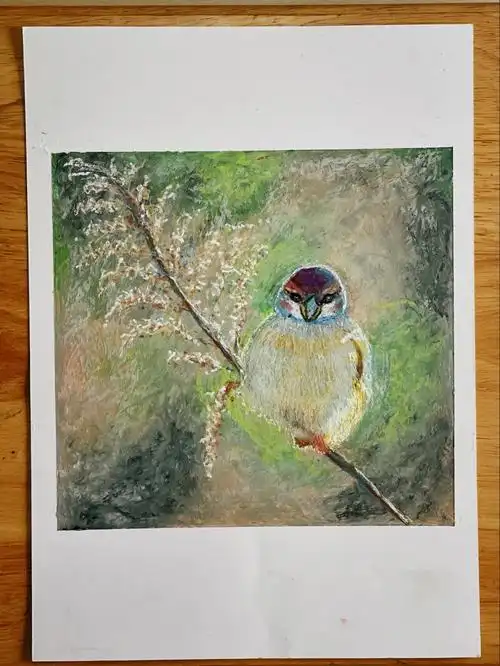 油画棒画一个夏天鸟