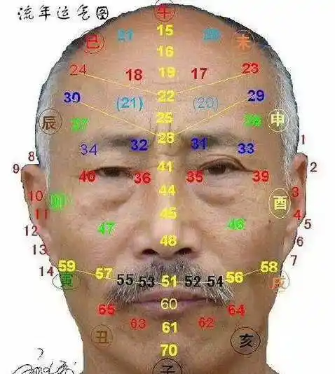 人体面相流年图