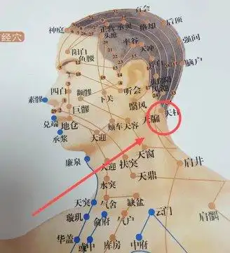头部穴位图解大全图,头部穴位图精确图