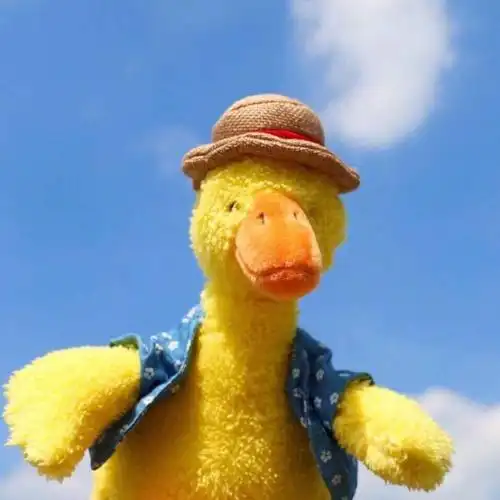 野外小黄鸭头像