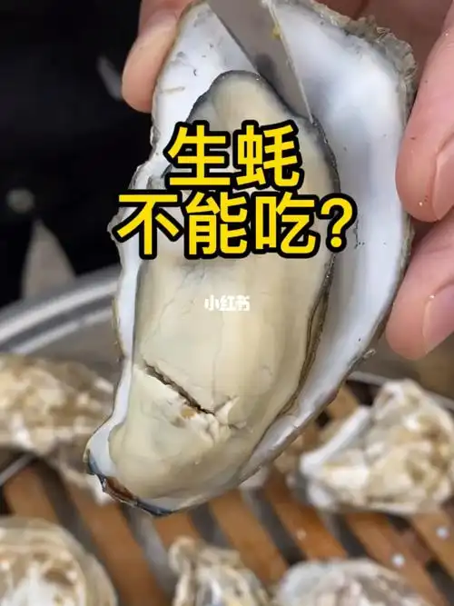 你们听说过生蚝哪里不能吃的吗