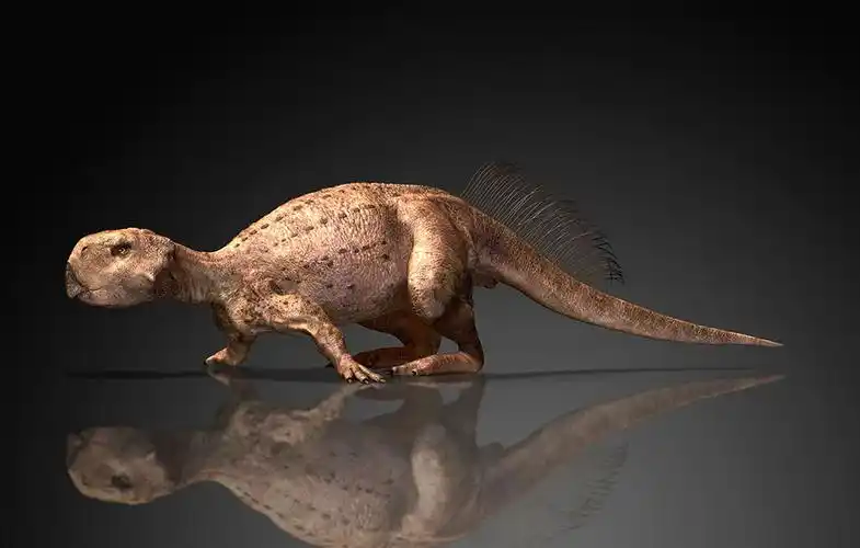 鹦鹉嘴龙_恐龙种类_恐龙品种分类l型名称大全恐龙品类图片大全名字