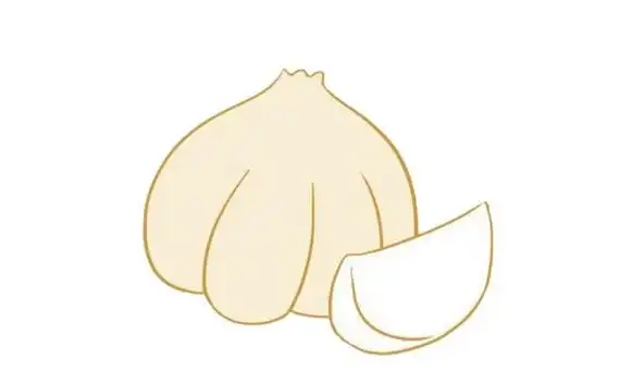 大蒜简笔画图片