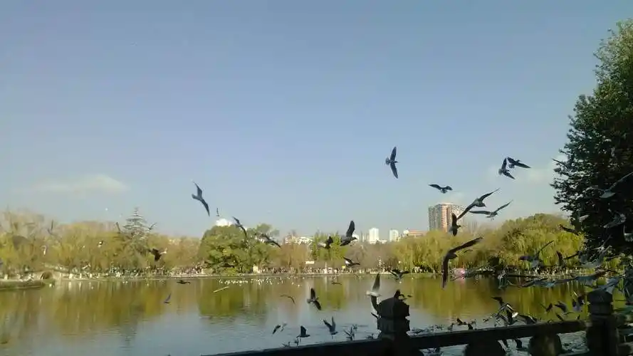 分别是翠湖公园昆明郊野公园山脊公园滇池国家湿地公园谭华寺公园钓鱼