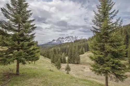 木材, 自然, 常绿, 针叶林, 景观, 树, 松树, 山