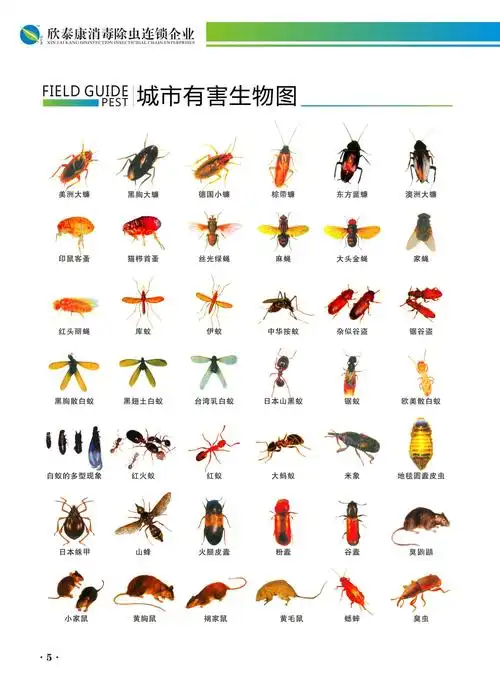 怎么知道有没有螨虫 【荐】厦门螨虫防制信息