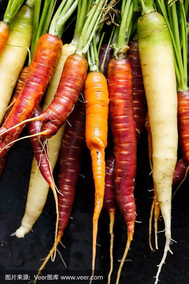 彩色胡萝卜