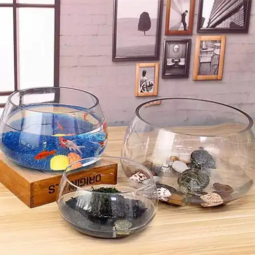 鱼缸玻璃圆形办公桌黄金葛水培家用小鱼创意透明小型迷你桌面乌龟