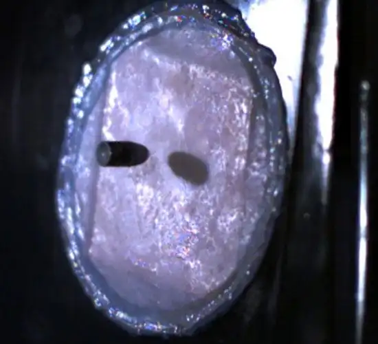 6 mm 长步来复枪发射出来的子弹.