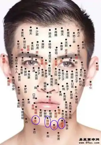 地阁又称为下巴,正所谓是天庭饱满地阁方圆,如果一个人的地库部位长痣