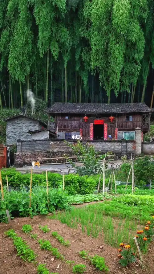 待我了无牵挂从此归隐天涯深山老屋为家远离人世繁华