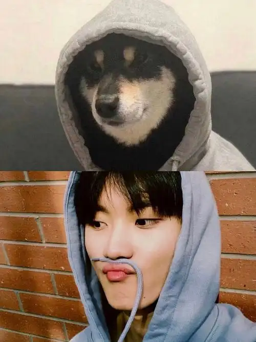 马嘉祺撞脸柴六斤