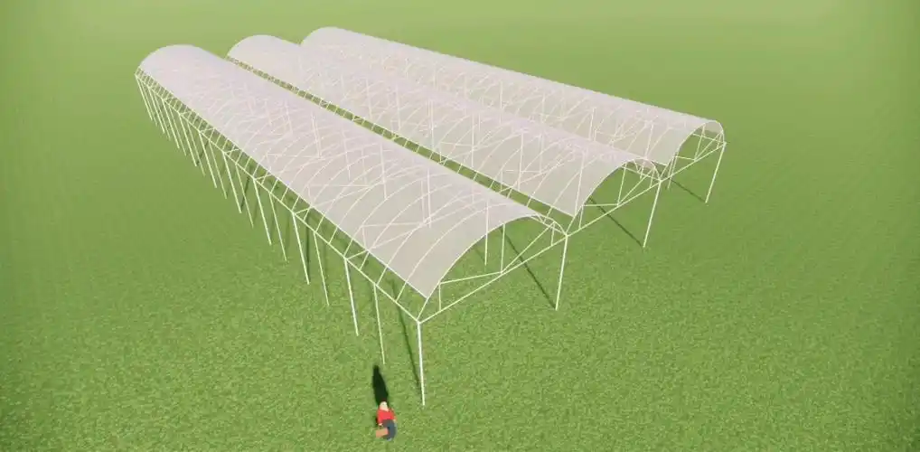 避雨棚葡萄绿城温室大棚