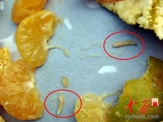 女人梦见自己拉黑色的大便 则近期运程逐渐转好,应把握好时机 鳏寡