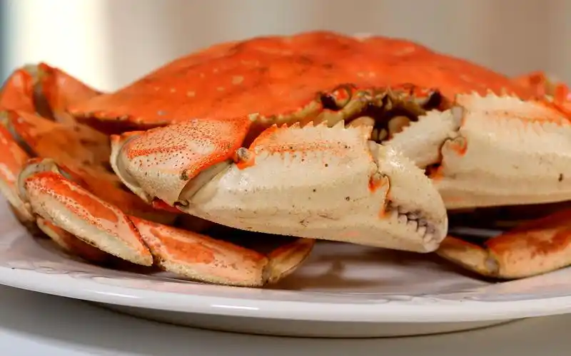 太子蟹蒸多长时间?清蒸太子蟹做法