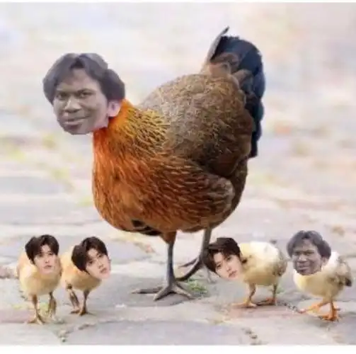 蔡徐坤搞笑表情包