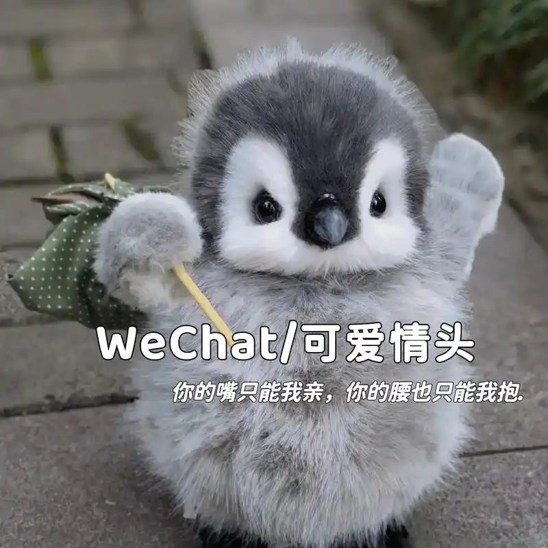 "艾特你家宝宝来换"#可爱情头 #企鹅头像 #卡通情头 #这 - 抖音