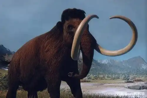 西伯利亚发现完好的猛犸象骸骨,头部完整,部分骨架还有软组织!
