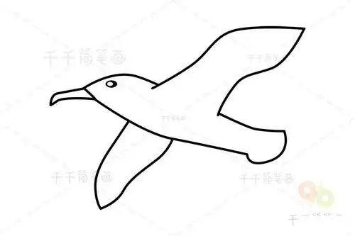 笔画图片4如何画信天翁简笔画信天翁简笔画怎么画简笔画信天翁的画法