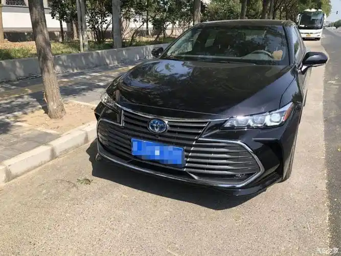 【图】有木有订"碳晶棕"的?_亚洲龙论坛_汽车之家论坛