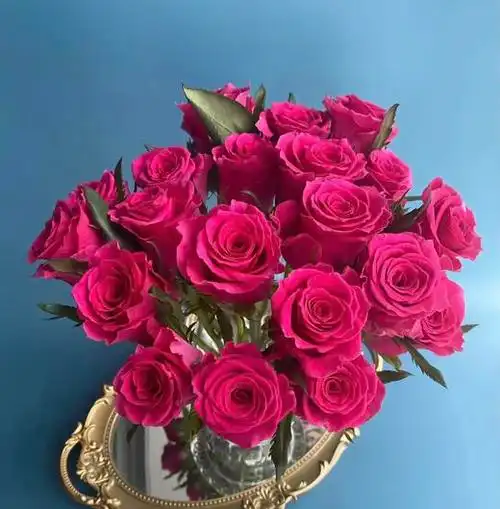 【百利信玫瑰】高胜 10枝/扎 - 南粤floever鲜花量贩