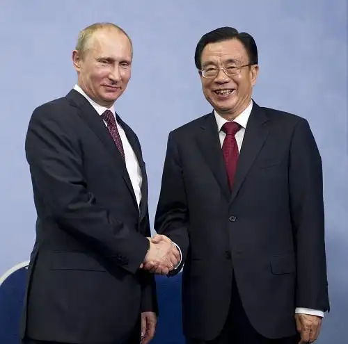 贺国强会见俄罗斯总统普京