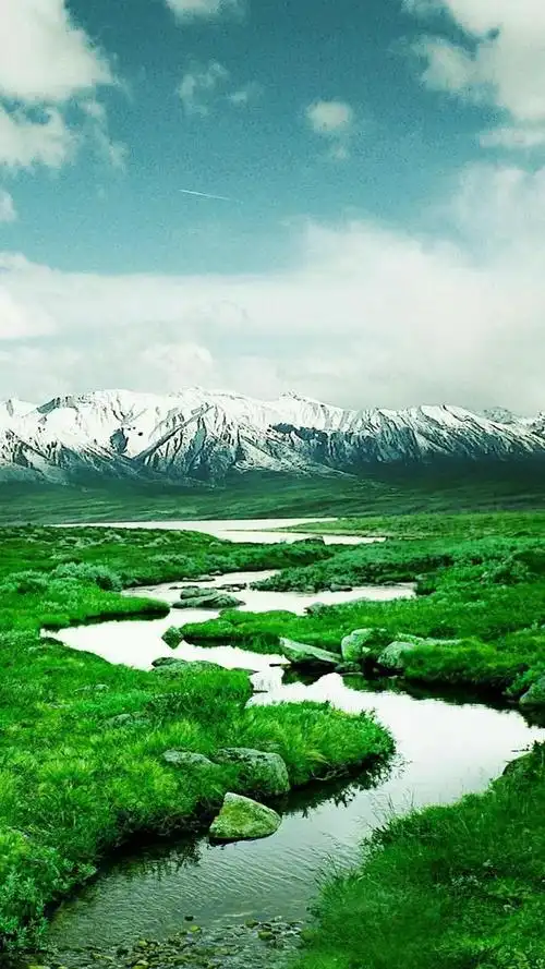 "纯绿色"自然风景高清手机壁纸